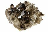 Dark Smoky Quartz Crystal Cluster - Brazil #119552-2